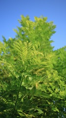 62FF22FF-905B-4D27-A7B4-32EBC9590672/L0/001