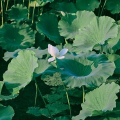 2B05F0BD-1005-49FC-8C22-AB2AB87CDCBD/L0/001