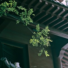 91CA4BFD-53E0-48E2-B5F0-72E8412D9909/L0/001