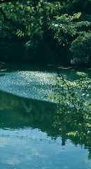 6FD1E565-3C3E-4792-B287-909C267857F9/L0/001