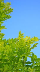 DA2B7840-3BA3-4BD4-B24F-53350F90C34F/L0/001