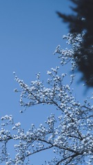 6ECF55F0-B392-44CD-B713-CF17B630F02F/L0/001