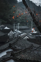 283576