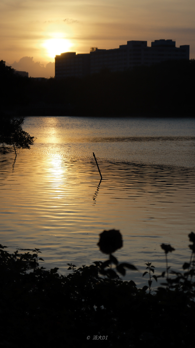 落日归西浪漫至死不渝