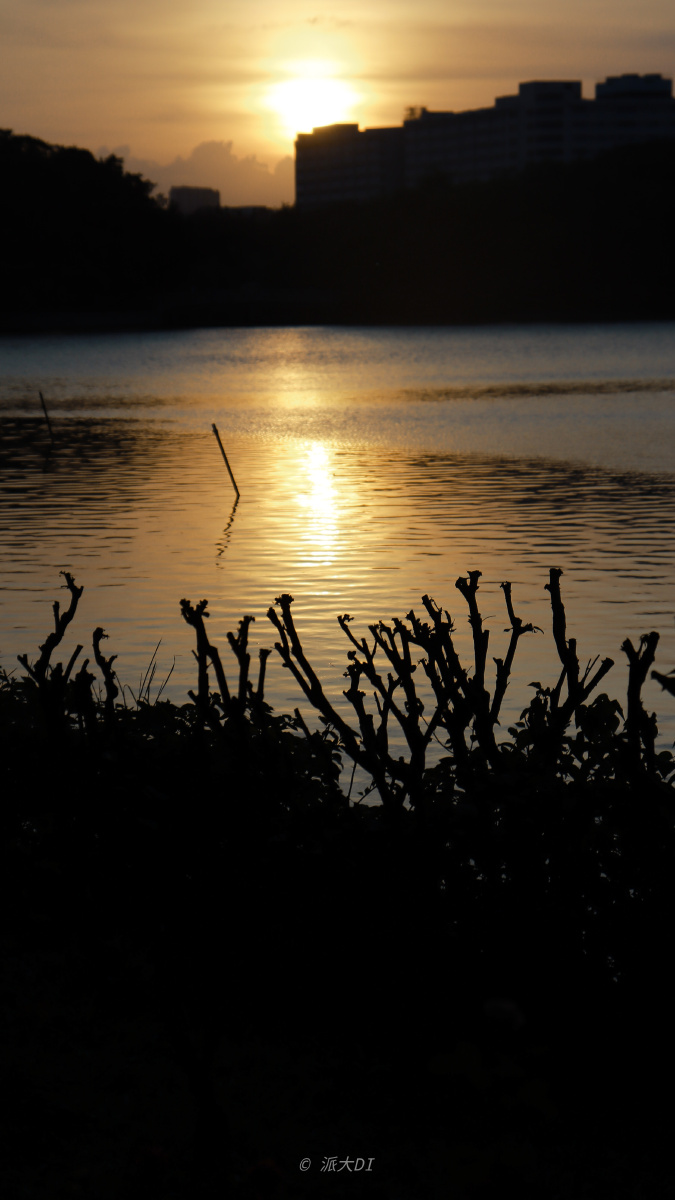 落日归西浪漫至死不渝
