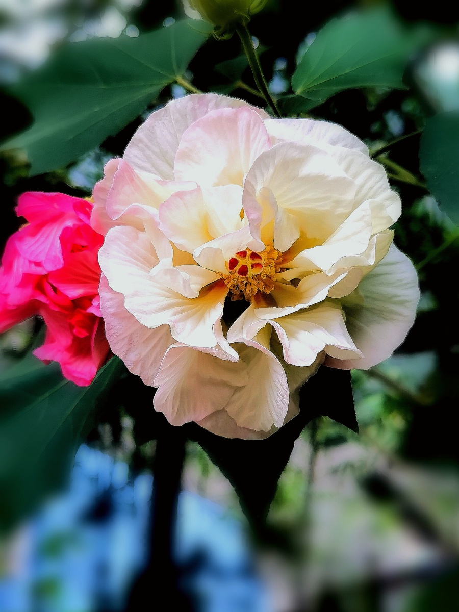 世界上最美好最漂亮的东西是看不见的也摸不着的它们必须用心去感应