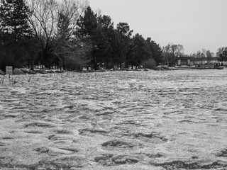 20170304-_1050308