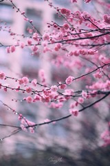 9B5F1E7B-6D78-448C-A080-AF9A66B555FD/L0/001