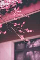 2CA8C687-A664-4F99-B9AD-4E6BBC34C728/L0/001
