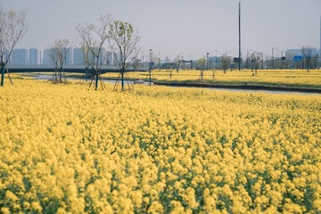 53C45215-8B8C-467A-B547-8F8CCA9698CC/L0/001