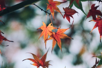 F50EB94E-03FF-4E9D-8E8B-6EF1EE0F0B30/L0/001