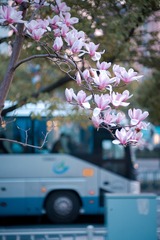 248EF78B-344D-42FB-92F1-E4F69955CC12/L0/001