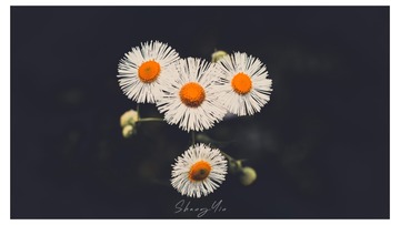 496F1F25-40F3-4784-AF49-1BF00F31C492/L0/001