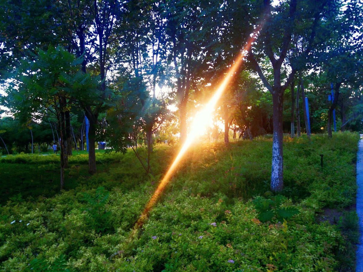 阳光是最伟大的魔术师幻化出奇幻的状态中午下午傍晚的阳光