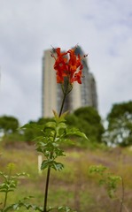 360658F8-5CBD-4929-B846-3519961AC3DD/L0/001