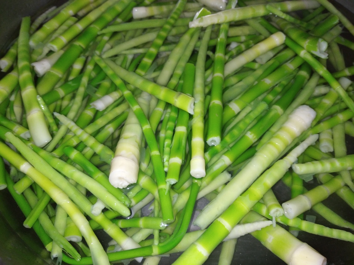 竹笋总是那么有食欲希望每年都能和母亲一起bai水zhou儿笋你们喜欢吃