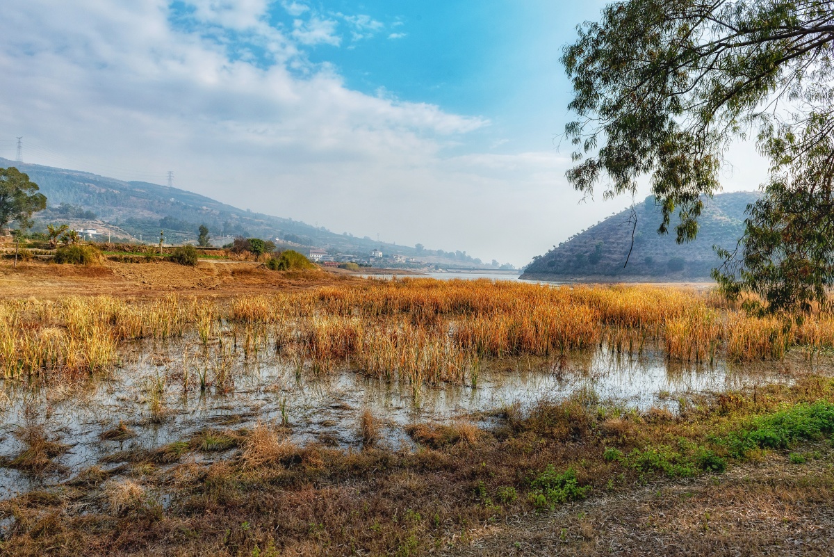 湿地,拍摄于#攀枝花#斑鸠湾水库