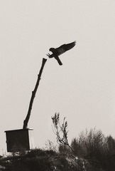 401792