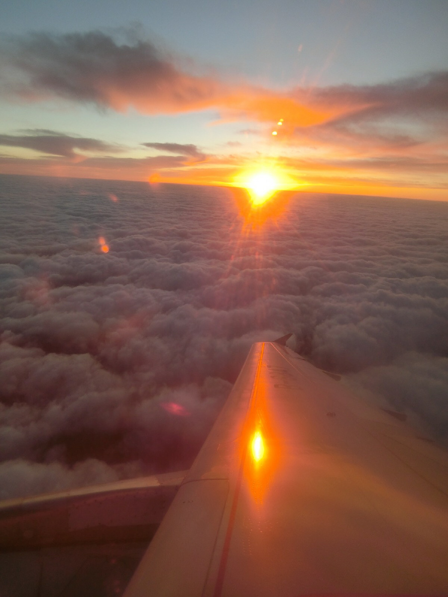 飞机上看日出