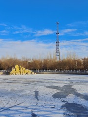 1000016604