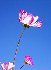 952