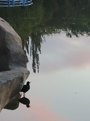 1000008431