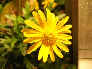 C7036551-8CFE-43C9-B1CF-D73DF1CA60C3/L0/001