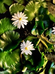 B34B8EBF-8D92-466A-BD6C-2A240FDEB134/L0/001
