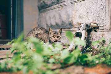 _DSC0683