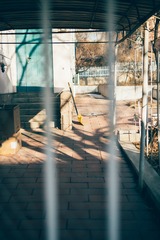 _DSC0787