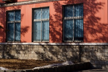 _DSC3984