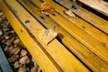 _DSC4473