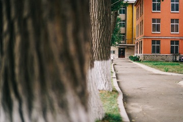 _DSC0129