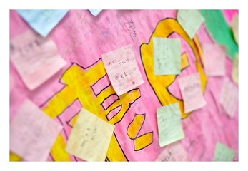 _DSC0141a
