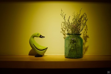 _DSC0218