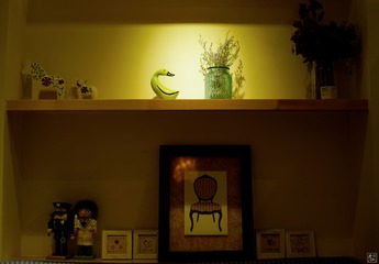 _DSC0211
