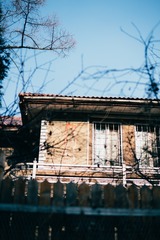 _DSC0768