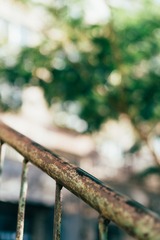 _DSC0999