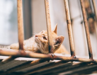 _DSC0685