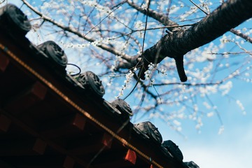 _DSC0840