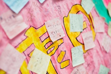_DSC0141