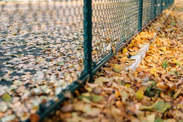 _DSC1073