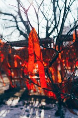 _DSC5496