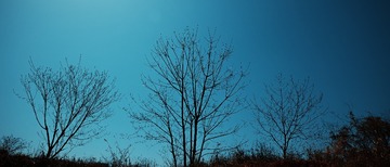 A85B0E7E-969E-4C15-BD3B-EC6E61F2B878/L0/001