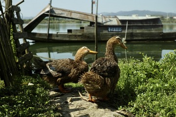 68228F59-5B93-4AE9-8DE5-5C3D6AA9CE21/L0/001