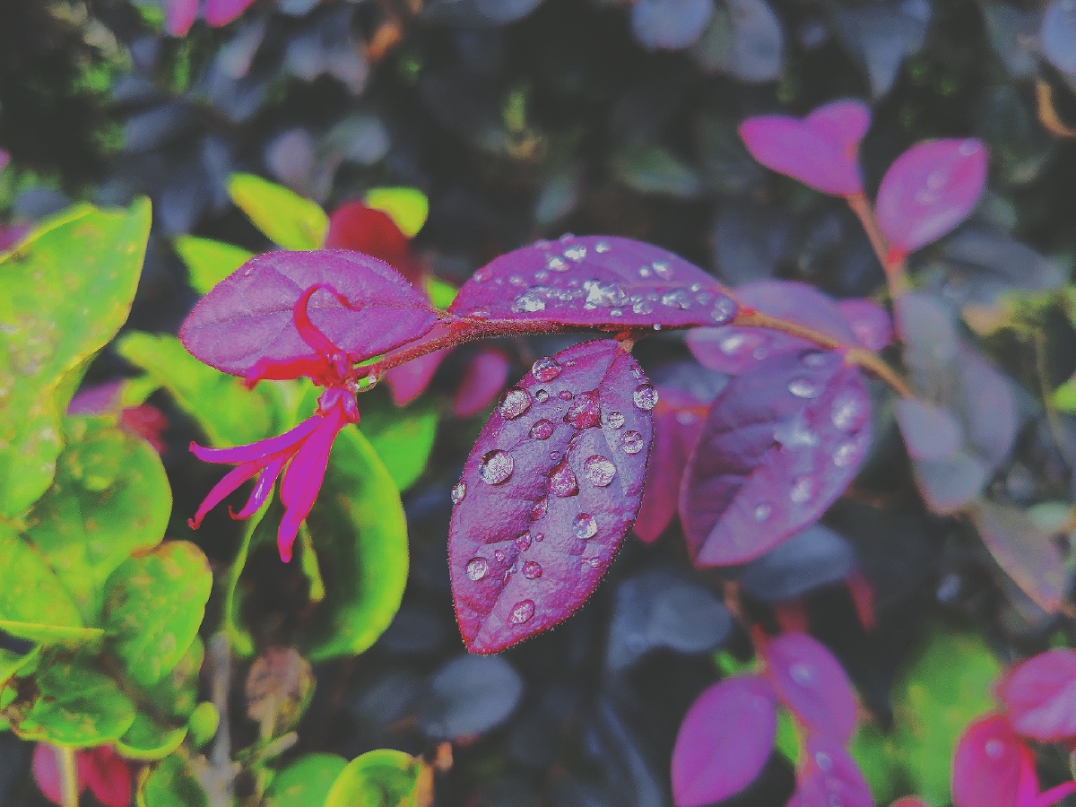 甜甜的冰淇淋凉爽的微风沸腾的热浪响亮的蝉鸣这就是夏天的回忆夏天
