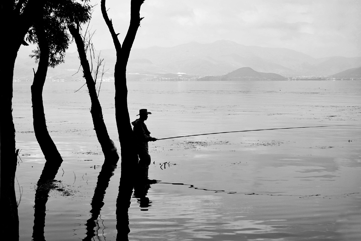 一湖寒江水 独垂可怜人