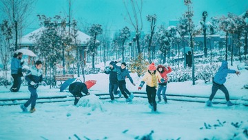 2011_01_19_009915