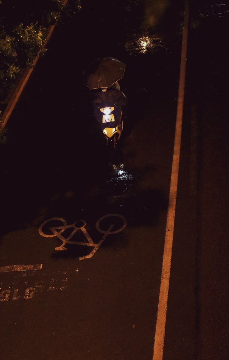 为你撑伞的人