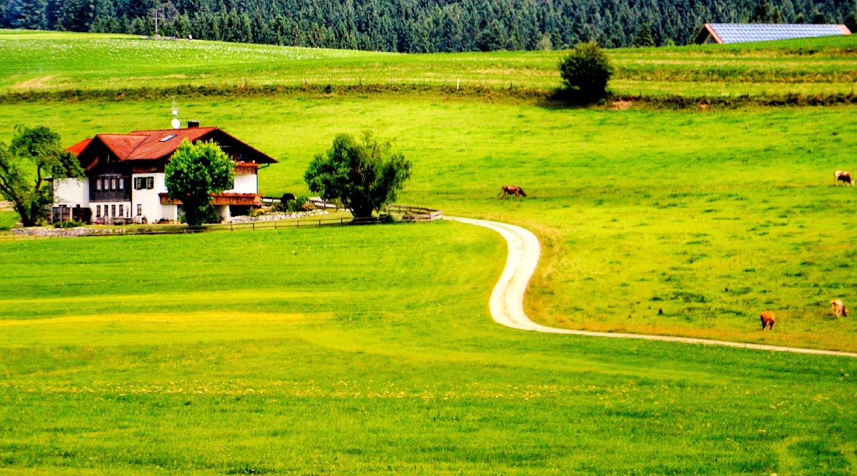 郊外景色摄于德国慕尼黑
